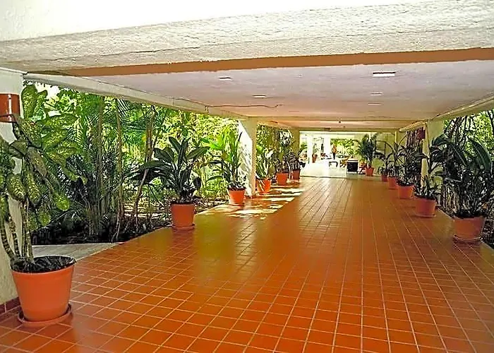 Paraiso 3*